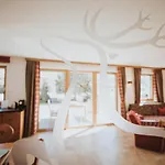 Chalet Wieshof Ξενοδοχείο *