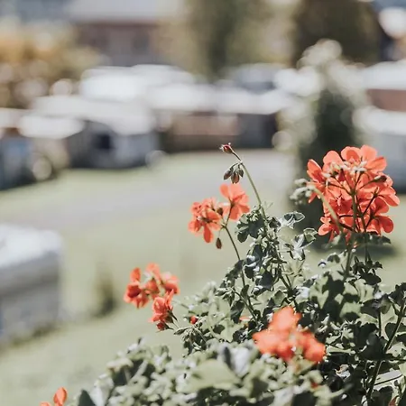 Chalet Wieshof ホテル *